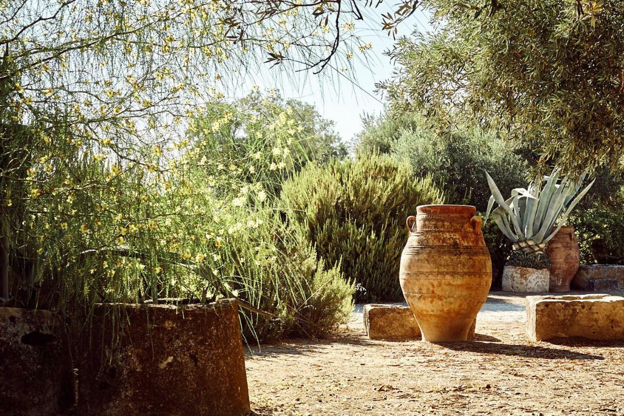 Nikolaou residence Aegina Dış mekan fotoğraf