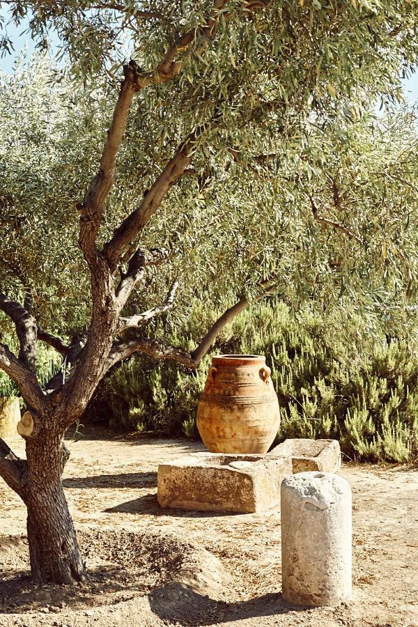 Nikolaou residence Aegina Dış mekan fotoğraf