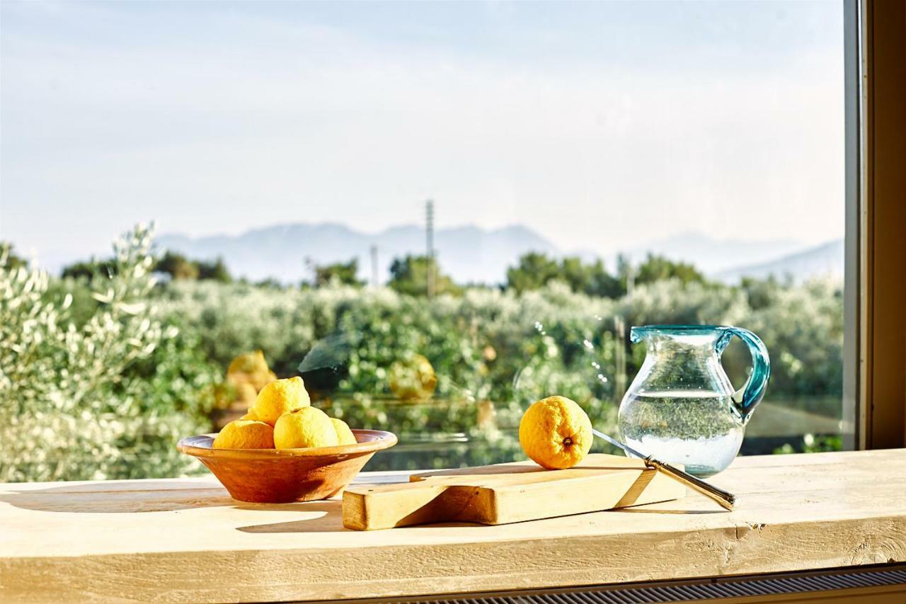 Nikolaou residence Aegina Dış mekan fotoğraf