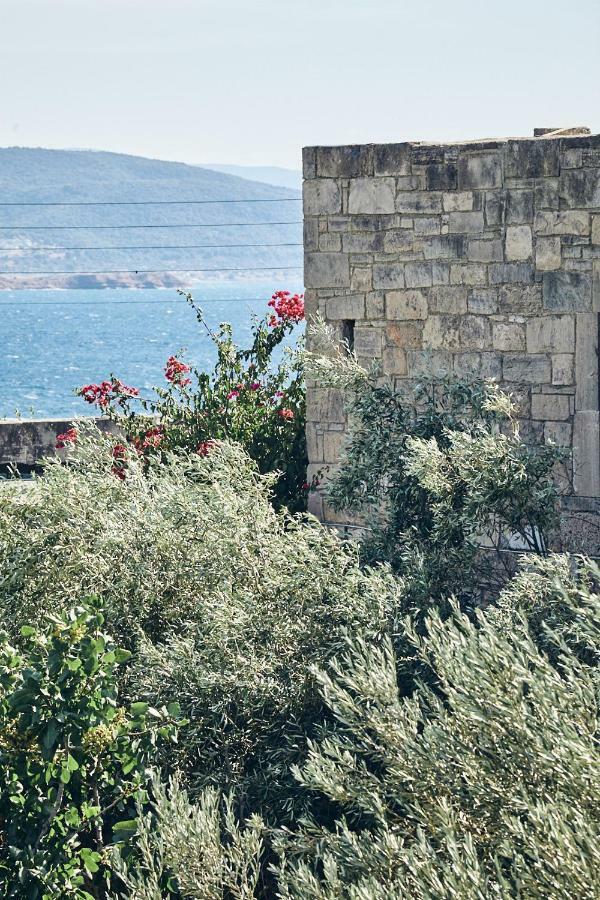 Nikolaou residence Aegina Dış mekan fotoğraf