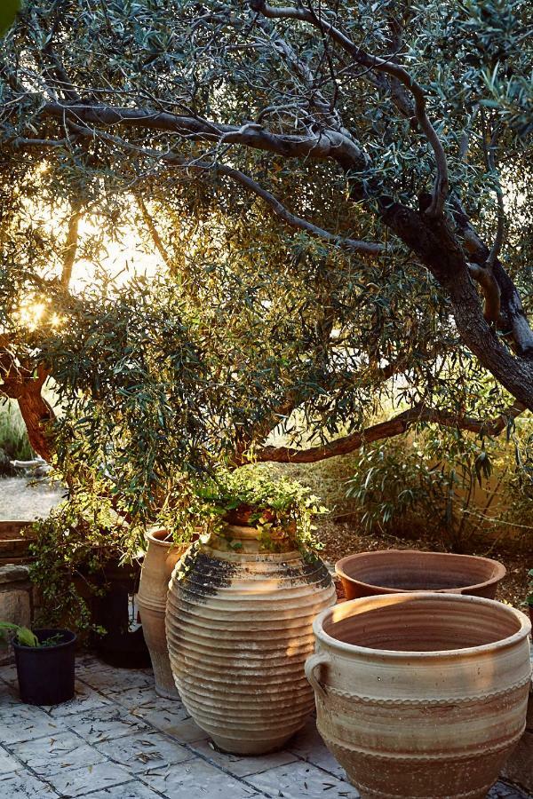 Nikolaou residence Aegina Dış mekan fotoğraf