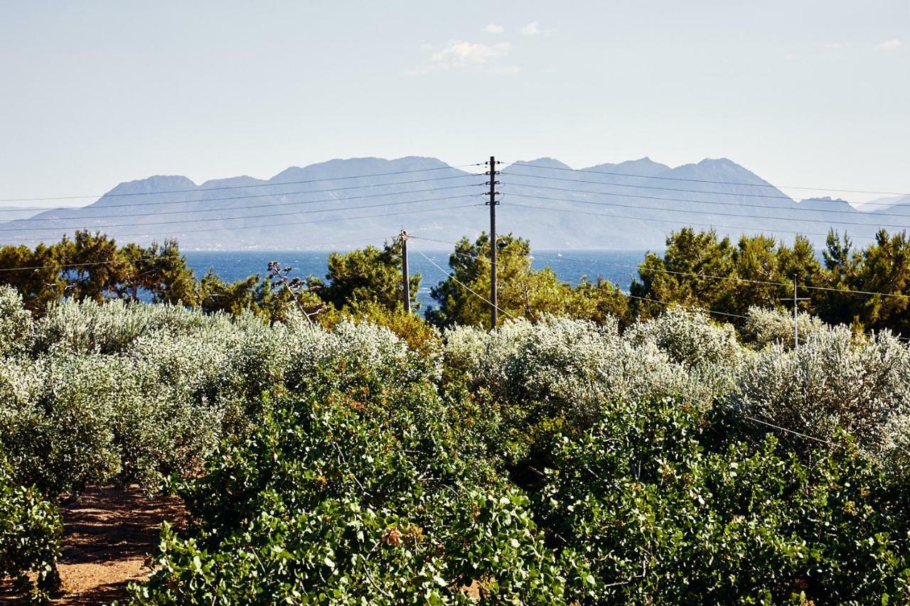 Nikolaou residence Aegina Dış mekan fotoğraf