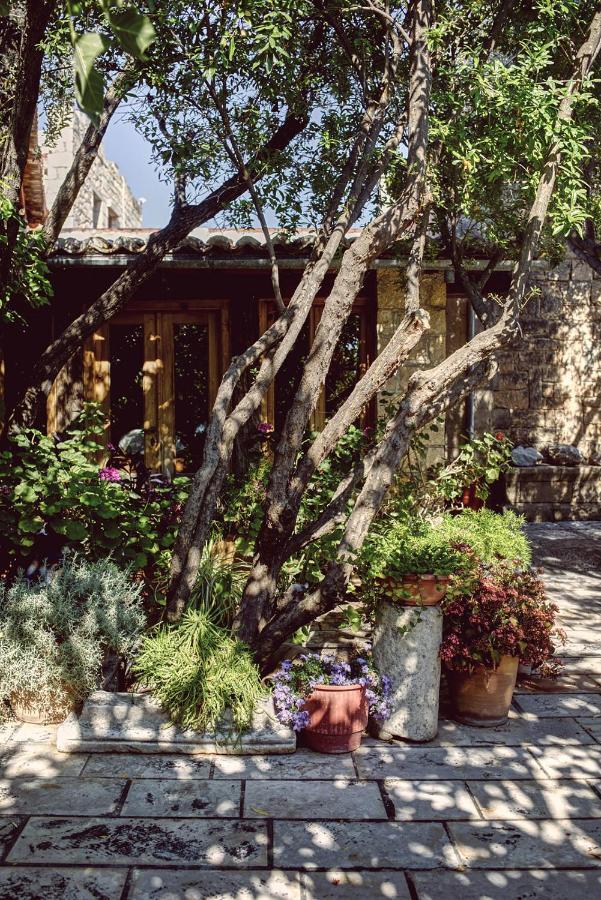 Nikolaou residence Aegina Dış mekan fotoğraf