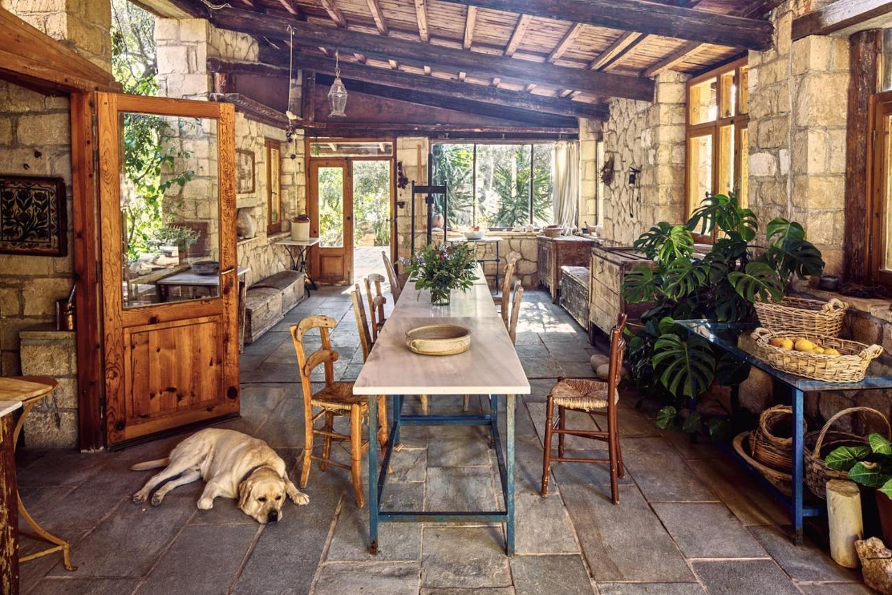 Nikolaou residence Aegina Dış mekan fotoğraf